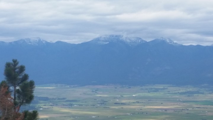 waynes galaxy pics 271.jpg