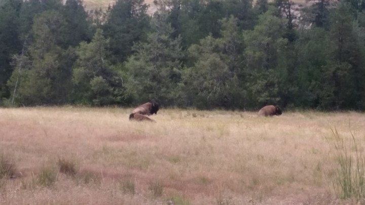 waynes galaxy pics 278.jpg