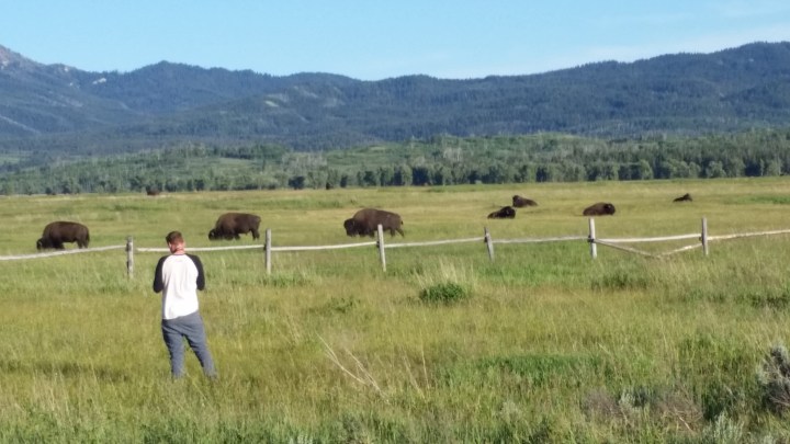 waynes galaxy pics 302.jpg