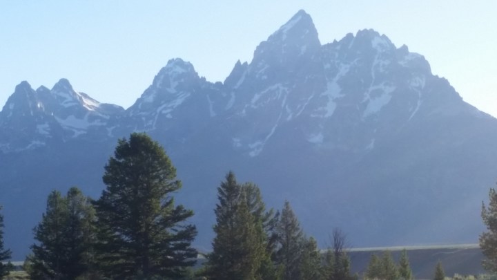 waynes galaxy pics 303.jpg