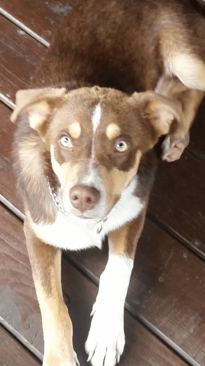 Screenshot_2017-08-28-16-21-14